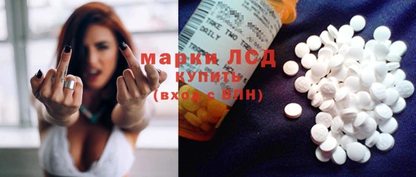 прущие грибы Белоозёрский