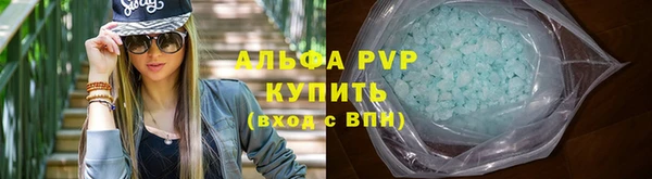 дживик Белокуриха