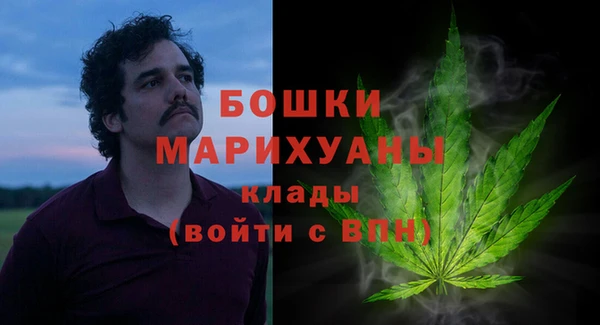 дживик Белокуриха