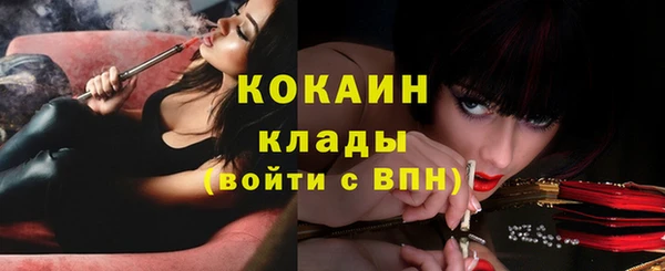 прущие грибы Белоозёрский