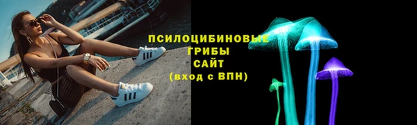 дживик Белокуриха