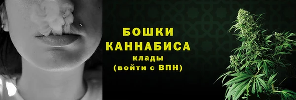 дживик Белокуриха