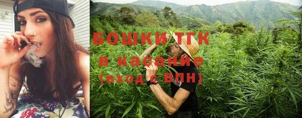 дживик Белокуриха