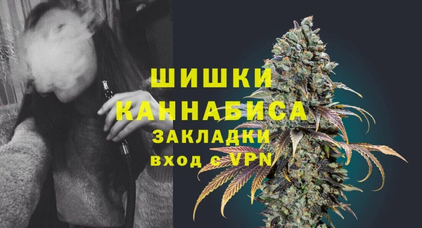 прущие грибы Белоозёрский