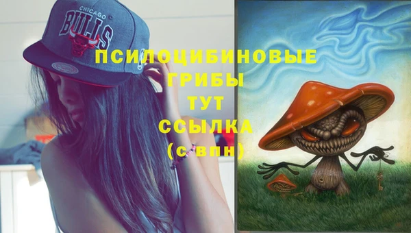 амф Беломорск